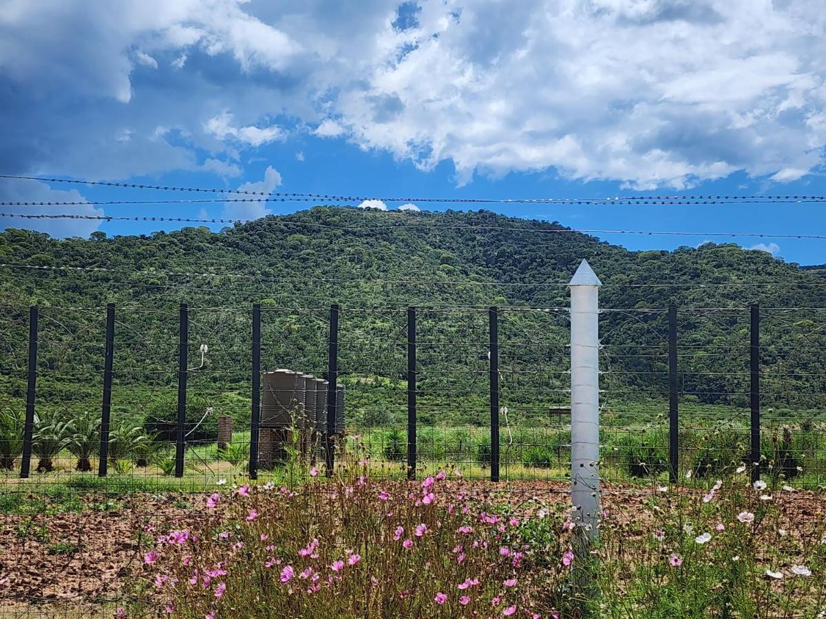 Vila De Jagter'S Nest Otavi Exteriér fotografie